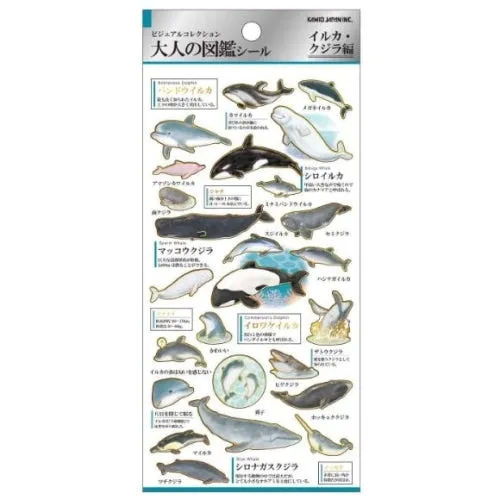 Kamio Otonano-Zukan Dolphins & Whales Stcikers