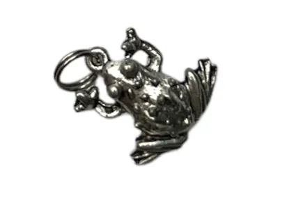 Pewter Frog Charm Necklace and Earring Set: A Cute and Quirky Statement Piece