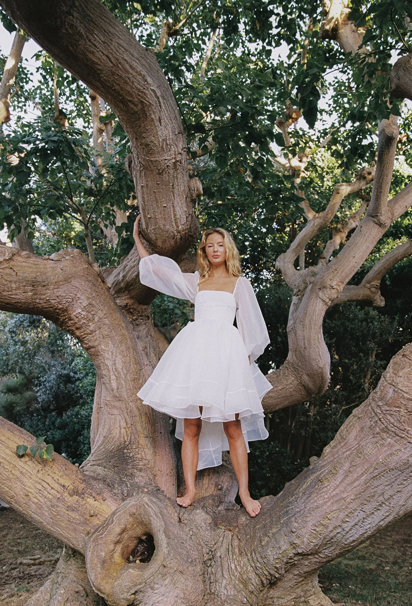 The Ivory Angel Mini Bustle Dress